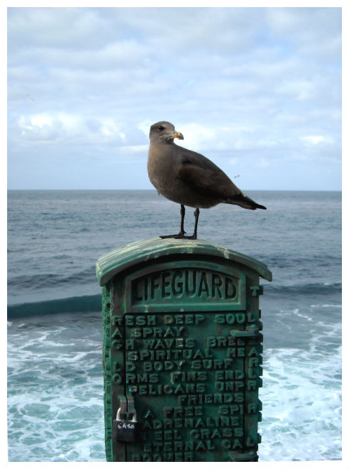 Copyright 2011 CHCollins