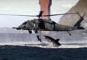 Shark Attack Hoax
