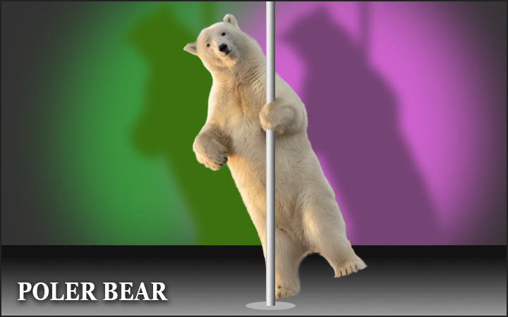 Poler Bear - pole-dancing polar bear