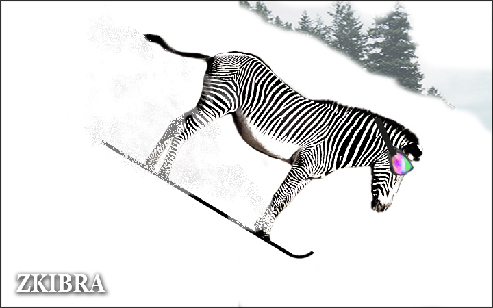 Zkibra - zebra with goggles on ski slope