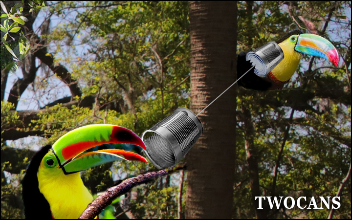 Twocans - toucans talking to each other with cans on string